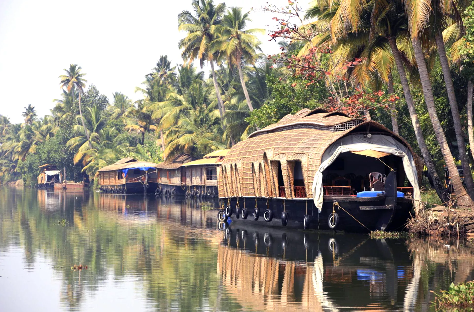 Kerala's backwaters